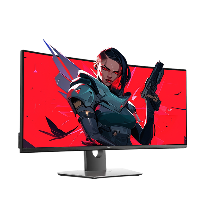 DELL CURVED U3419W MONITOR