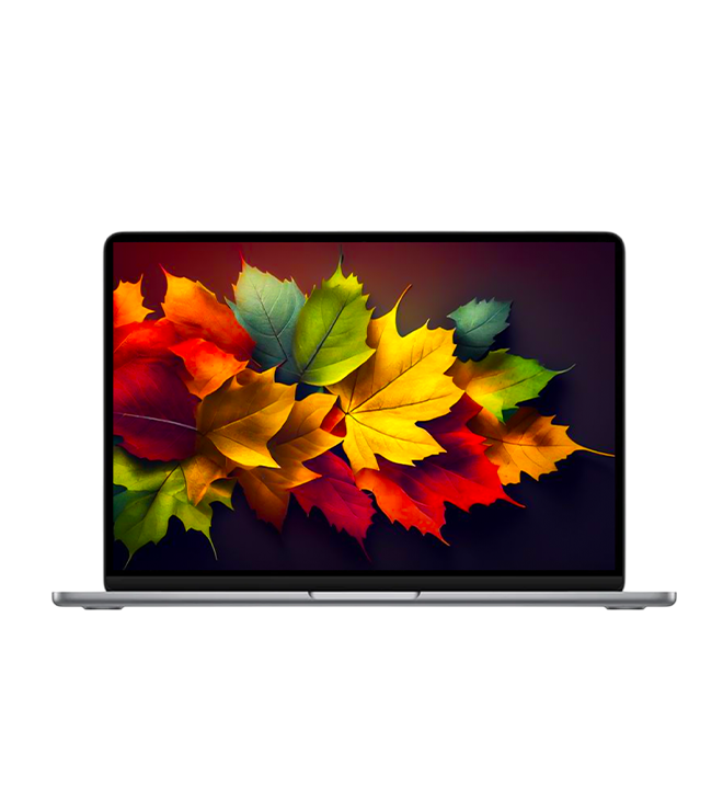 APPLE MACBOOK M1 PRO LAPTOP M1 CHIP 16GB RAM 256GB SSD MAC OS